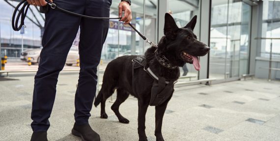 ronde-gardiennage-agent de securite-gironde