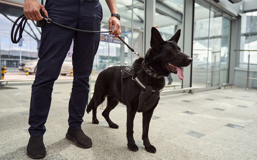 ronde-gardiennage-agent de securite-gironde