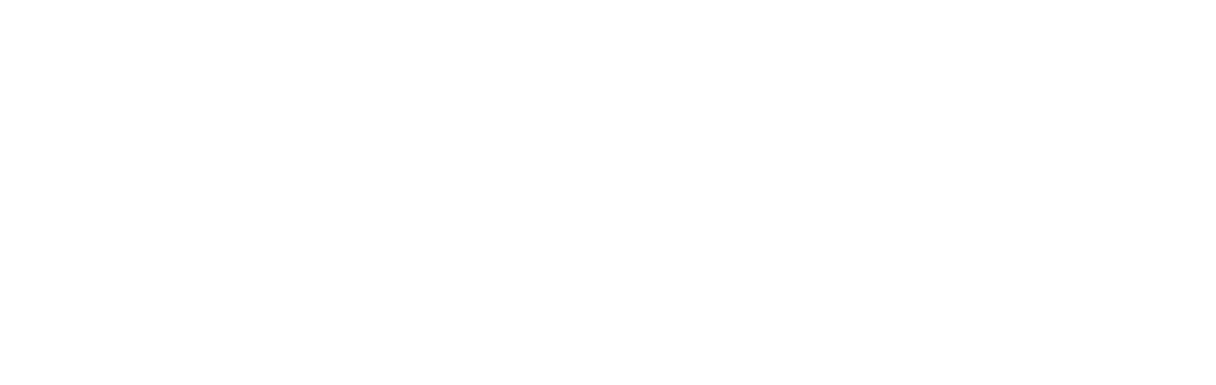 iSecure Logo